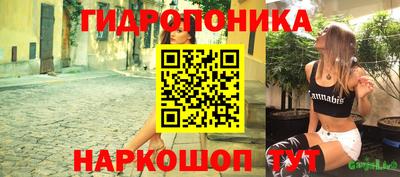 spice Кунгур