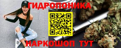 spice Кунгур